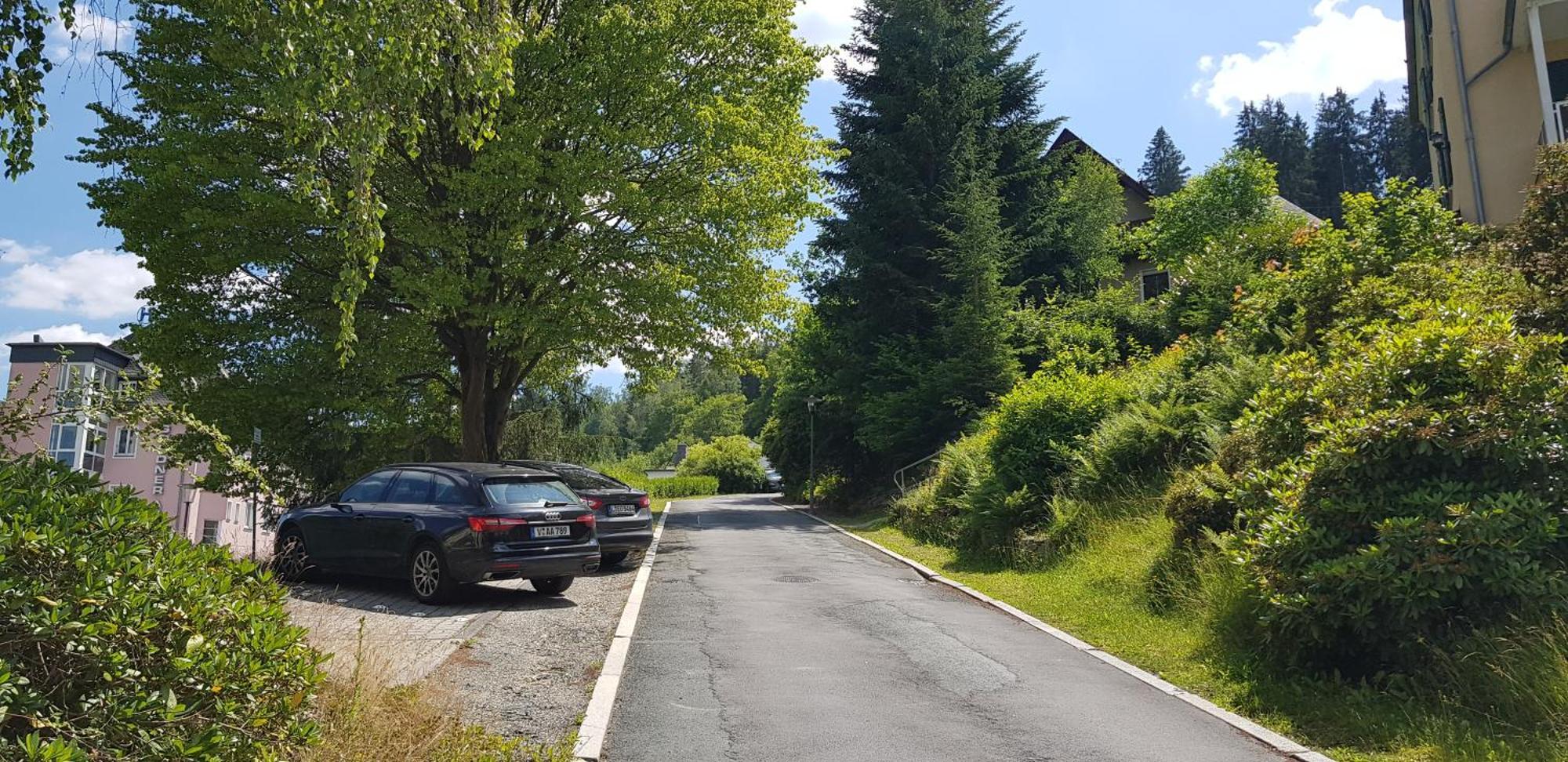 Ferienwohnungen Villa Goldbrunnen Bad Elster Kültér fotó