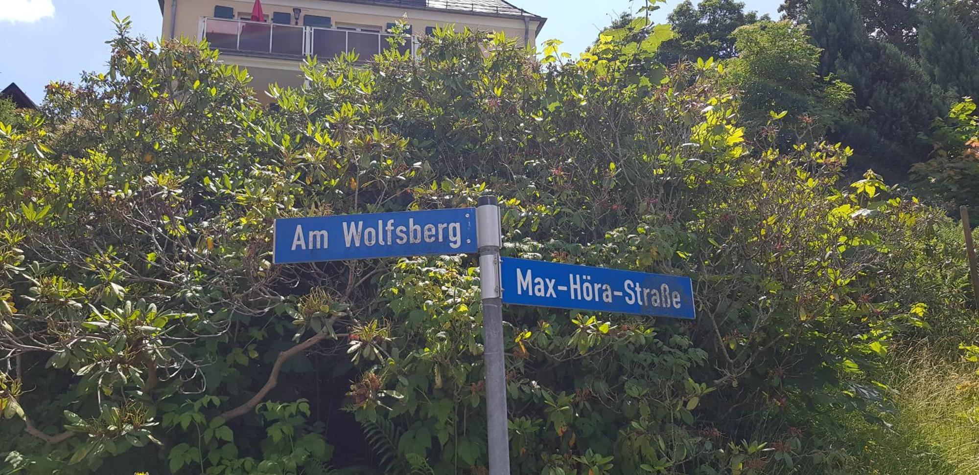Ferienwohnungen Villa Goldbrunnen Bad Elster Kültér fotó
