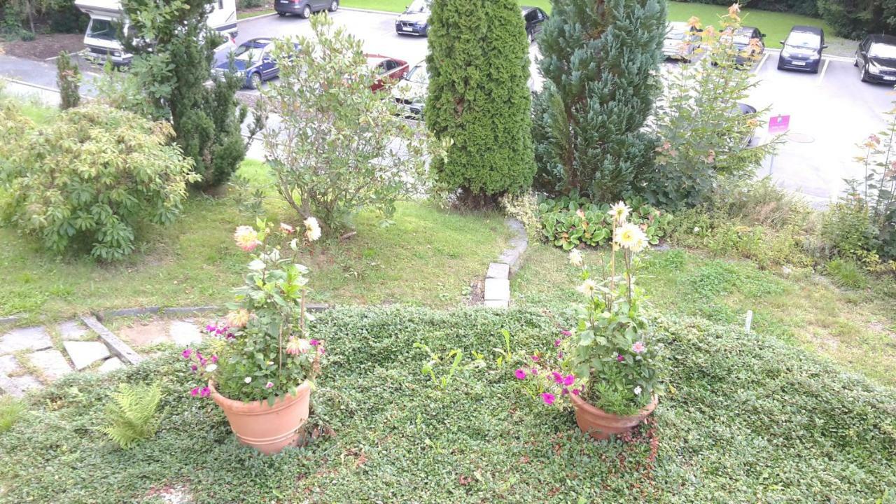 Ferienwohnungen Villa Goldbrunnen Bad Elster Kültér fotó