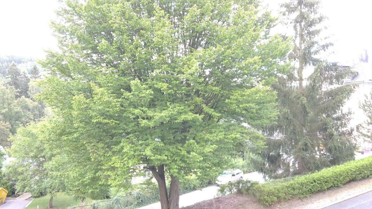 Ferienwohnungen Villa Goldbrunnen Bad Elster Kültér fotó